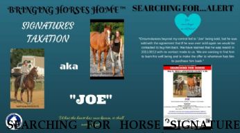 SEARCHING FOR HORSE SIGNATURES Taxation , "Joe" Near Elizabethtown , PA, 17022